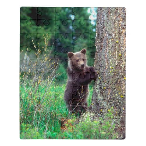 Grizzly Bear Cub Jigsaw Puzzle