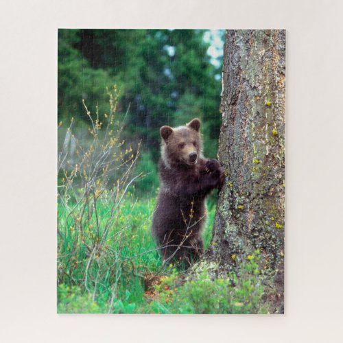 Grizzly Bear Cub Jigsaw Puzzle