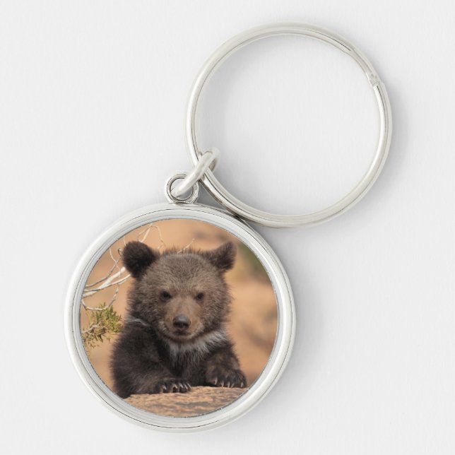 Grizzly Bear Cub Keychain (Front)