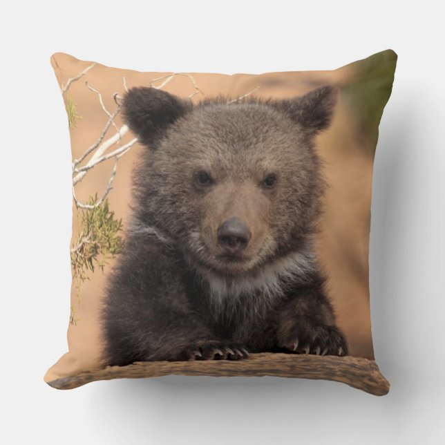 Grizzly Bear Cub Throw Pillow (Front)