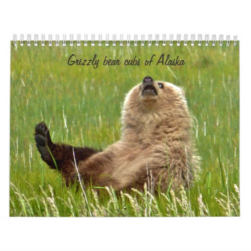 Grizzly bear cubs of Alaska calendar