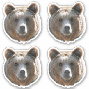Grizzly Bear Face Sticker