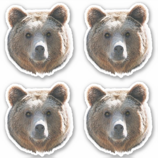 Grizzly Bear Face Sticker (Front)