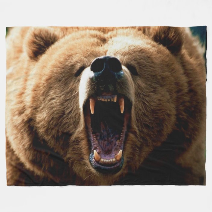 grizzly bear blanket