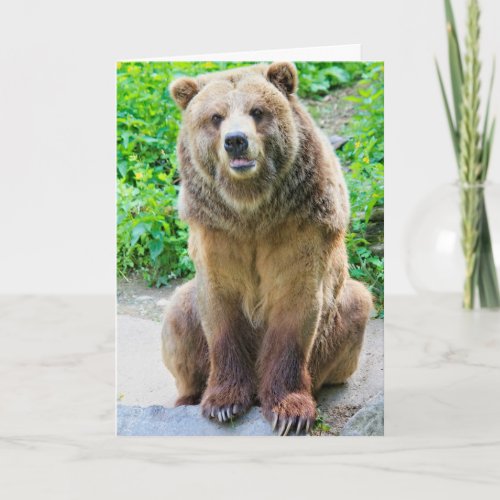 GRIZZLY BEAR FUNNY BIRTHDAY CARDS