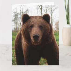 GRIZZLY BEAR HUG OVERSIZED BIRTHDAY CARD