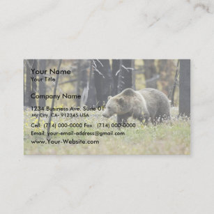 Grizzly Bear in Field at Yellowstone National Park Business Card