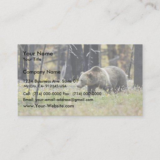 Customizable Grizzly Bear in Field at Yellowstone National Park Business Card Template