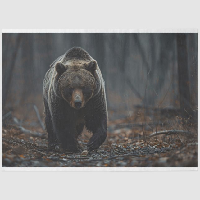 Grizzly Bear in the Woods Decoupage Tissue Paper (Front)