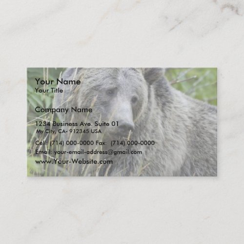 Grizzly Bear in Yellowstone National Park Business Card Templates
