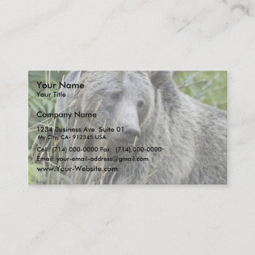 Customizable Grizzly Bear in Yellowstone National Park Business Card Templates