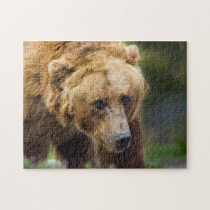 Grizzly Bear Jigsaw Puzzle