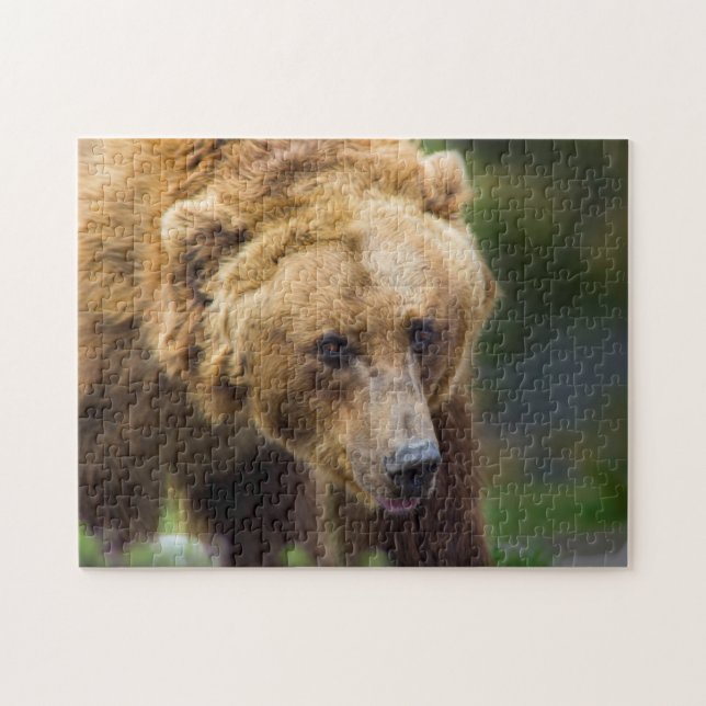 Grizzly Bear Jigsaw Puzzle (Horizontal)