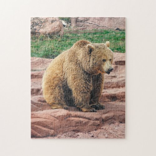 Grizzly Bear Jigsaw Puzzle