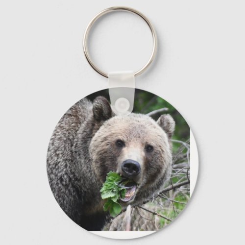 Grizzly bear keychain 