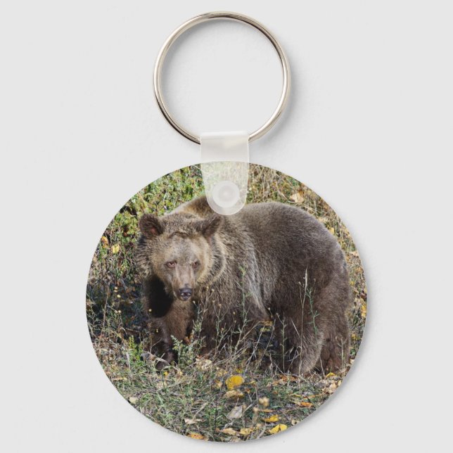 Grizzly Bear Keychain (Front)