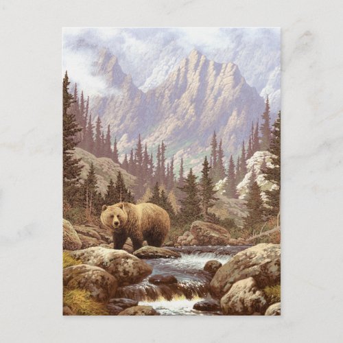 Grizzly Bear Landscape Postcard