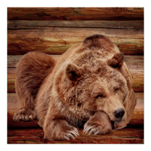 GRIZZLY BEAR LOG CABIN POSTERS