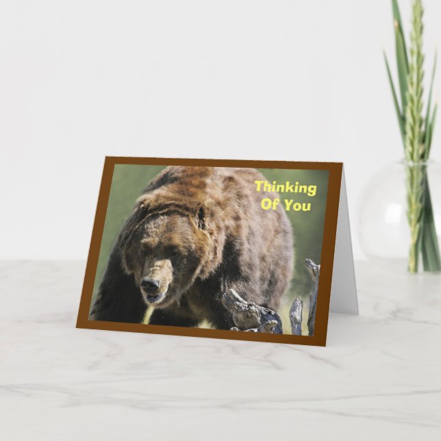 Grizzly Bear, Military Encouragement Card (Front)