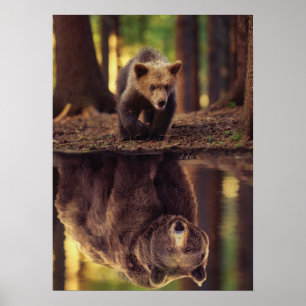 Grizzly Bear Mindset - Cub Water Reflection Poster