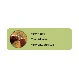 Grizzly Bear Mom and Cub Painting Wildlife Art Label