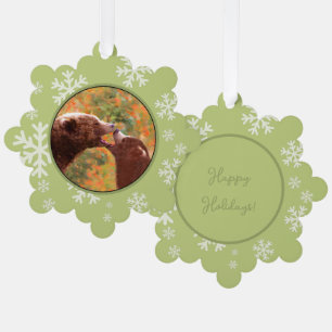Grizzly Bear Mom and Cub Painting Wildlife Art Ornament Card
