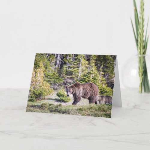 Grizzly Bear Mom Cub Montana Card
