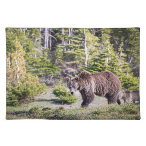 Grizzly Bear Mom Cub Montana Cloth Placemat