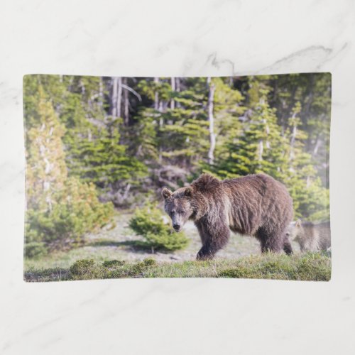 Grizzly Bear Mom Cub Montana Trinket Tray