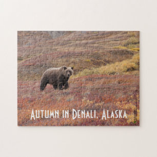 Grizzly Bear Moves Through Autumn Colors In Alaska Jigsaw Puzzle