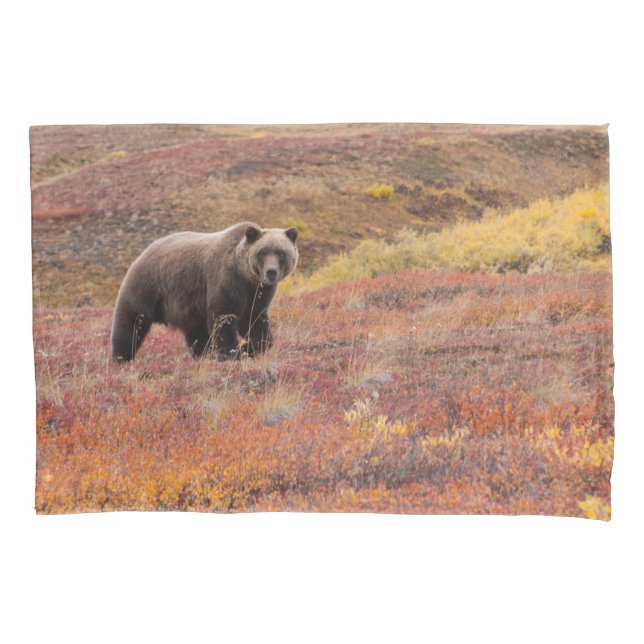 Grizzly Bear Moves Through Autumn Colors In Alaska Pillowcase (Front-Left)