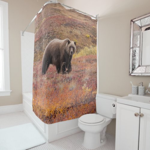 Grizzly Bear Moves Through Autumn Colors In Alaska Shower Curtain
