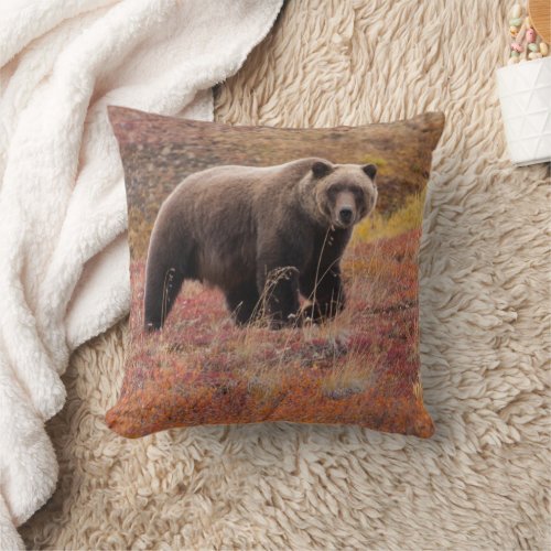 Grizzly Bear Moves Through Autumn Colors In Alaska Throw Pillow