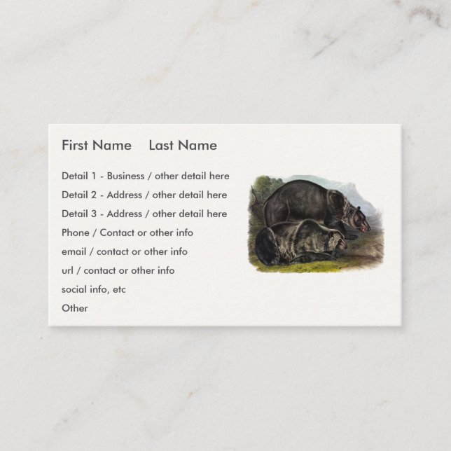 Grizzly Bear (North American Brown Bear) - Audubon Business Card (Front)