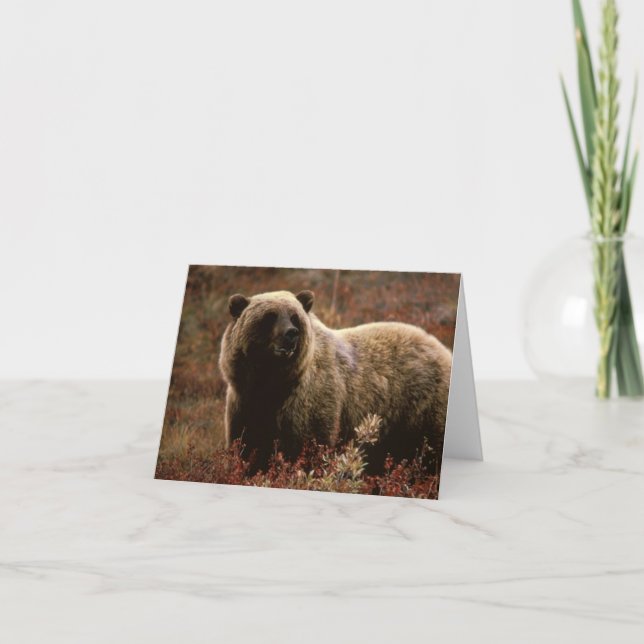 Grizzly Bear Note Card (Front)