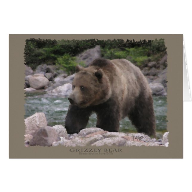 Grizzly Bear - Pastels Cards (Front Horizontal)