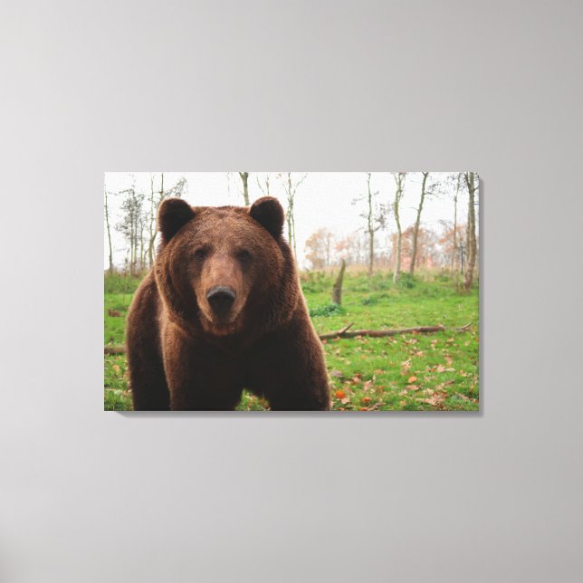 GRIZZLY BEAR PHOTOGRAPHY WRAPPED CANVAS PRINT (Front)
