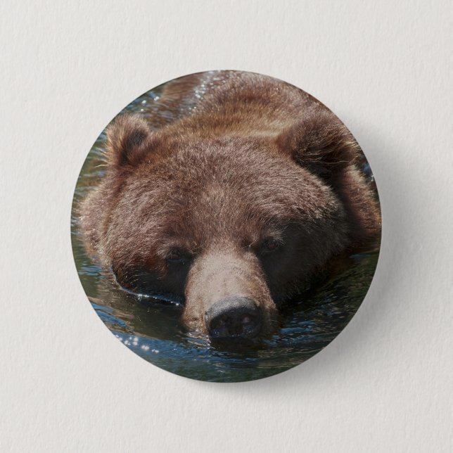 Grizzly Bear Pinback Button (Front)
