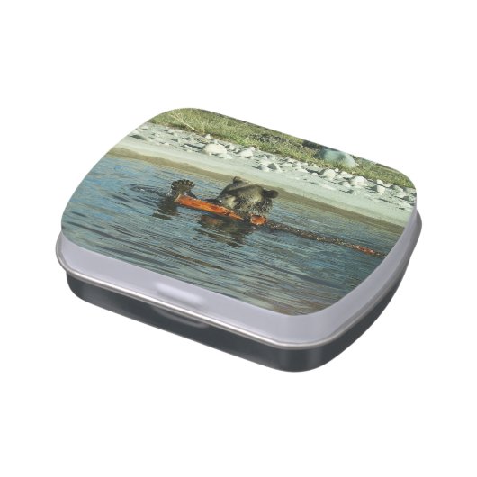 Grizzly Bear Playing with Log Candy Tin (Side)