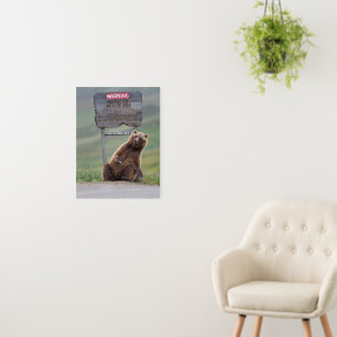 Grizzly Bear Plays With Sign
