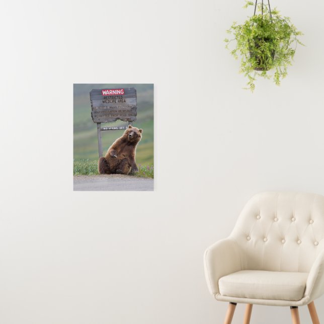 Grizzly Bear Plays With Sign (In Situ (Wall))