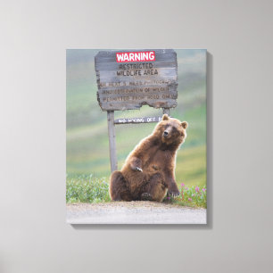 Grizzly Bear Plays With Sign