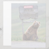 Grizzly Bear Plays With Sign (Front/Back)