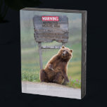 Grizzly Bear Plays With Sign<br><div class="desc">Grizzly bear scratches a roadside sign in Sable Pass,  Denali National Park,  Alaska</div>