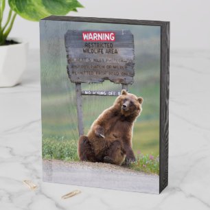 Grizzly Bear Plays With Sign