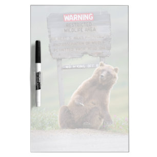 Grizzly Bear Plays With Sign Dry Erase Board