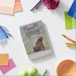 Grizzly Bear Plays With Sign iPad Mini Cover<br><div class="desc">Grizzly bear scratches a roadside sign in Sable Pass,  Denali National Park,  Alaska</div>