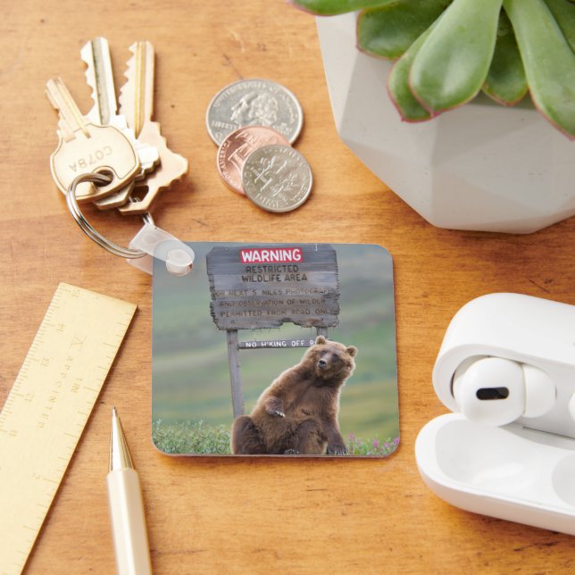 Grizzly Bear Plays With Sign Keychain (Desk)