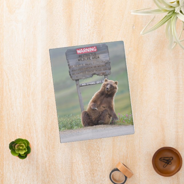 Grizzly Bear Plays With Sign Mini Binder (InSitu)