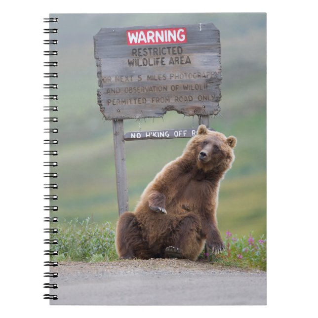 Grizzly Bear Plays With Sign Notebook (Front)